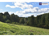 Wohngrundstück kaufen in Steiermark, 995 m² Grundstück